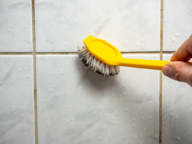 Best Certified Mold Removal  in South San Francisco, CA